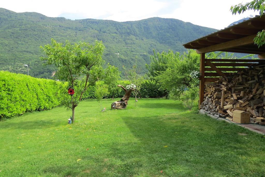 B&B Il Grappolo Bianzone Exterior foto
